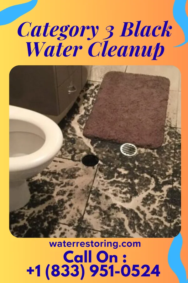 Category 3 Black Water Cleanup in Irvine, CA
